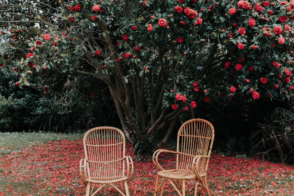 Location Fauteuils pour cérémonie laïque mariage Bretagne